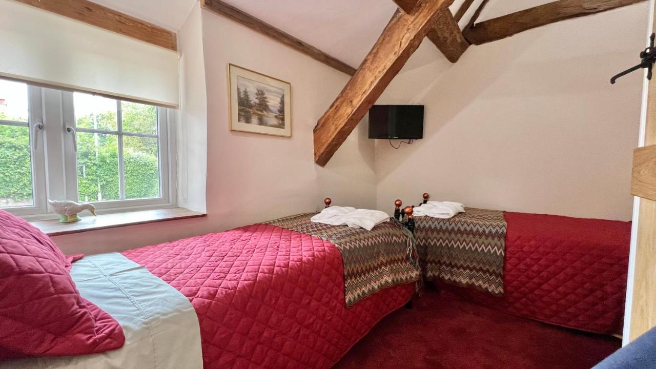 Cosy Cottage Wellington  Dış mekan fotoğraf
